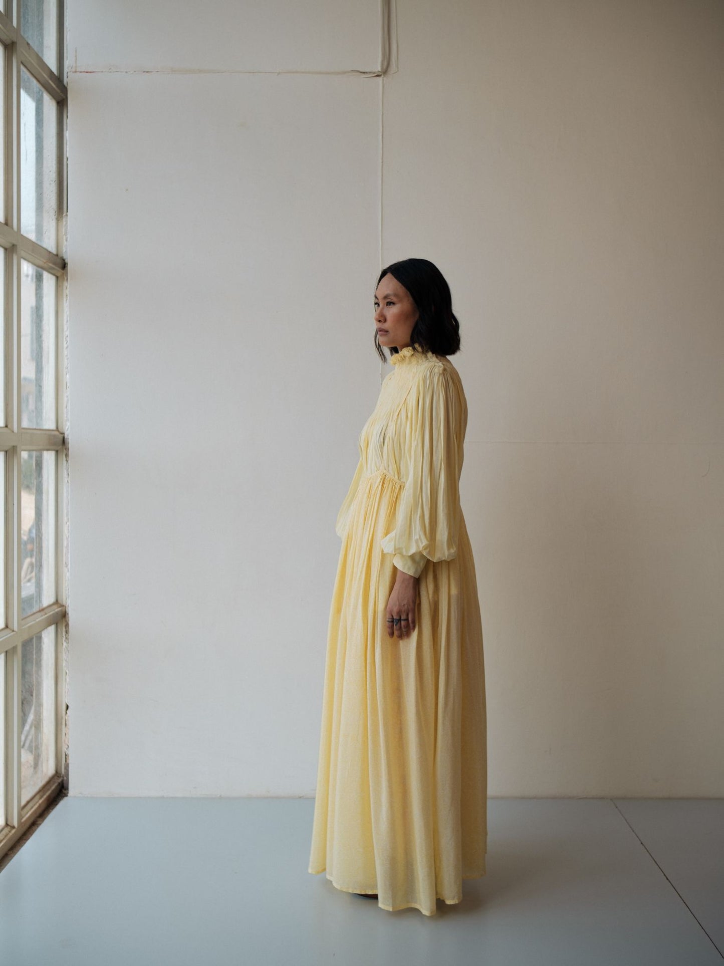 ASTER DRESS