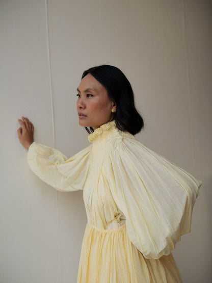 ASTER DRESS